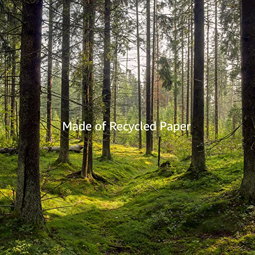 Amazon Basics Photo Paper, Glossy, 4 X 6 Inch, Pack Of 100 Sheets, 200G/M², White #TOP5