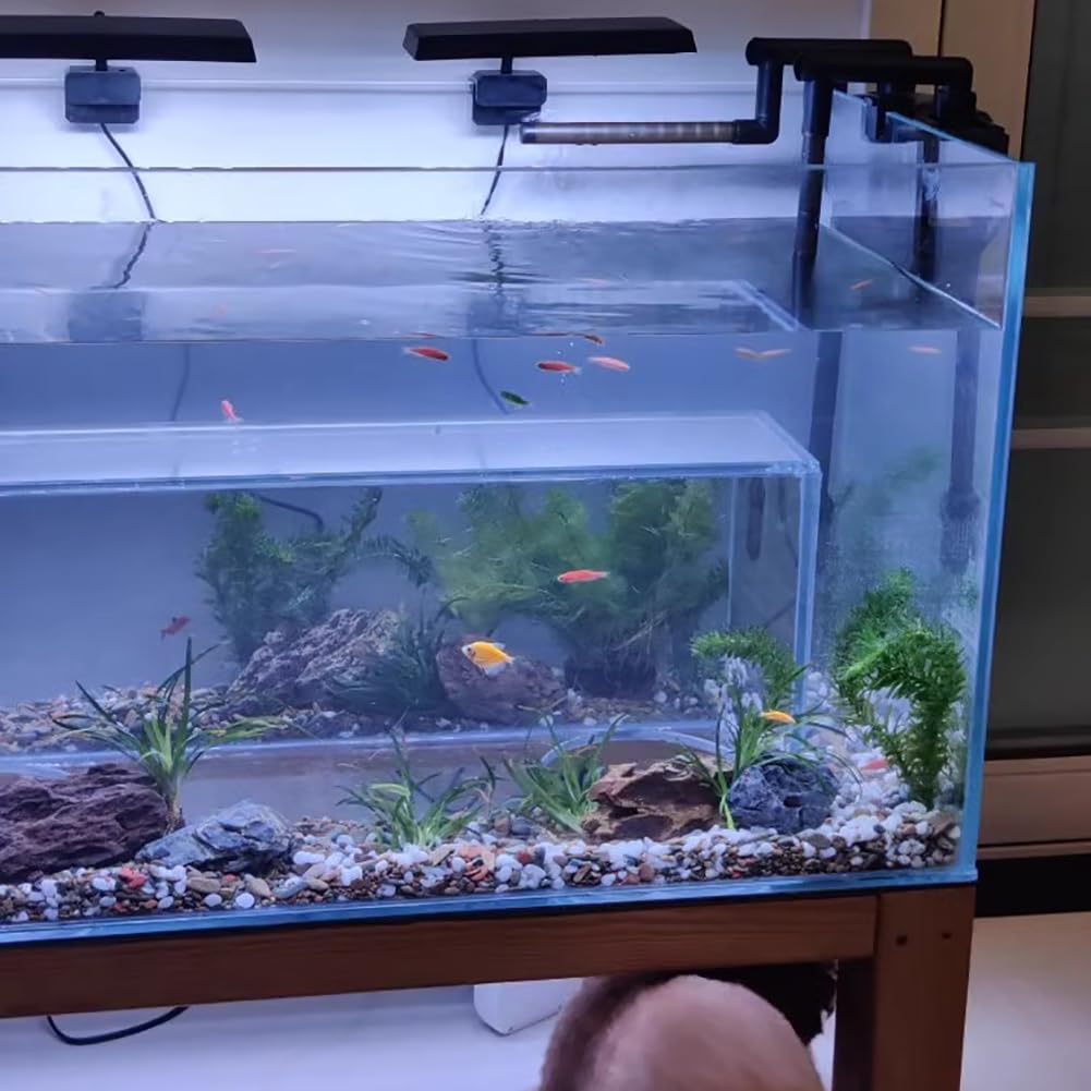 Acuario De Juguete De Gato De Lujo, Tanque De Pescado De Entretenimiento, Rectangular 2 En 1 para Pescado Y Gato, Con Base De Madera Sólida, Amenidad Del Hogar De Mascotas