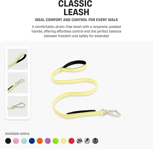 Miniatura 3 de DF Co. - Correa clásica para perro, sin tensiones, resistente a los golpes, evita sacudidas, mantiene el control, material impermeable duradero con