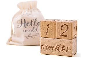 Encapsulating Baby's Milestones: Monthly Milestone Blocks Set