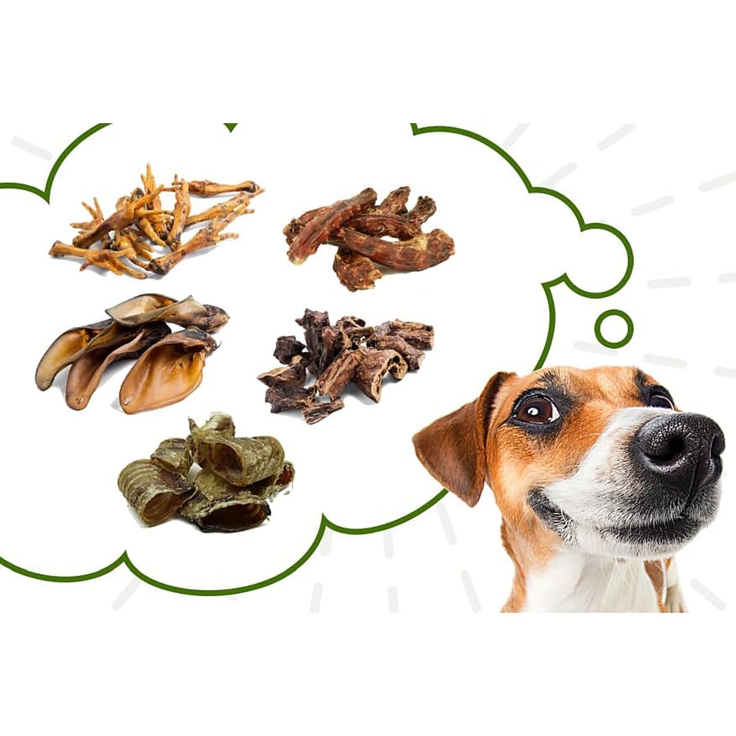 Dog Discovery Box 900 g – 5 Dried Beef & Chicken Treats