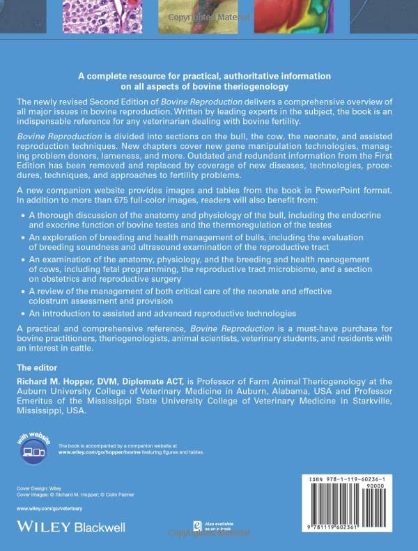 Bovine Reproduction - Image 2