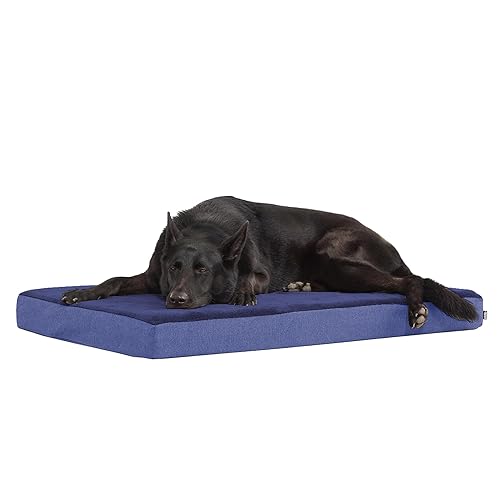 Barkbox Orthopedic Dog Bed with Memory Foam - Comfortable, Durable