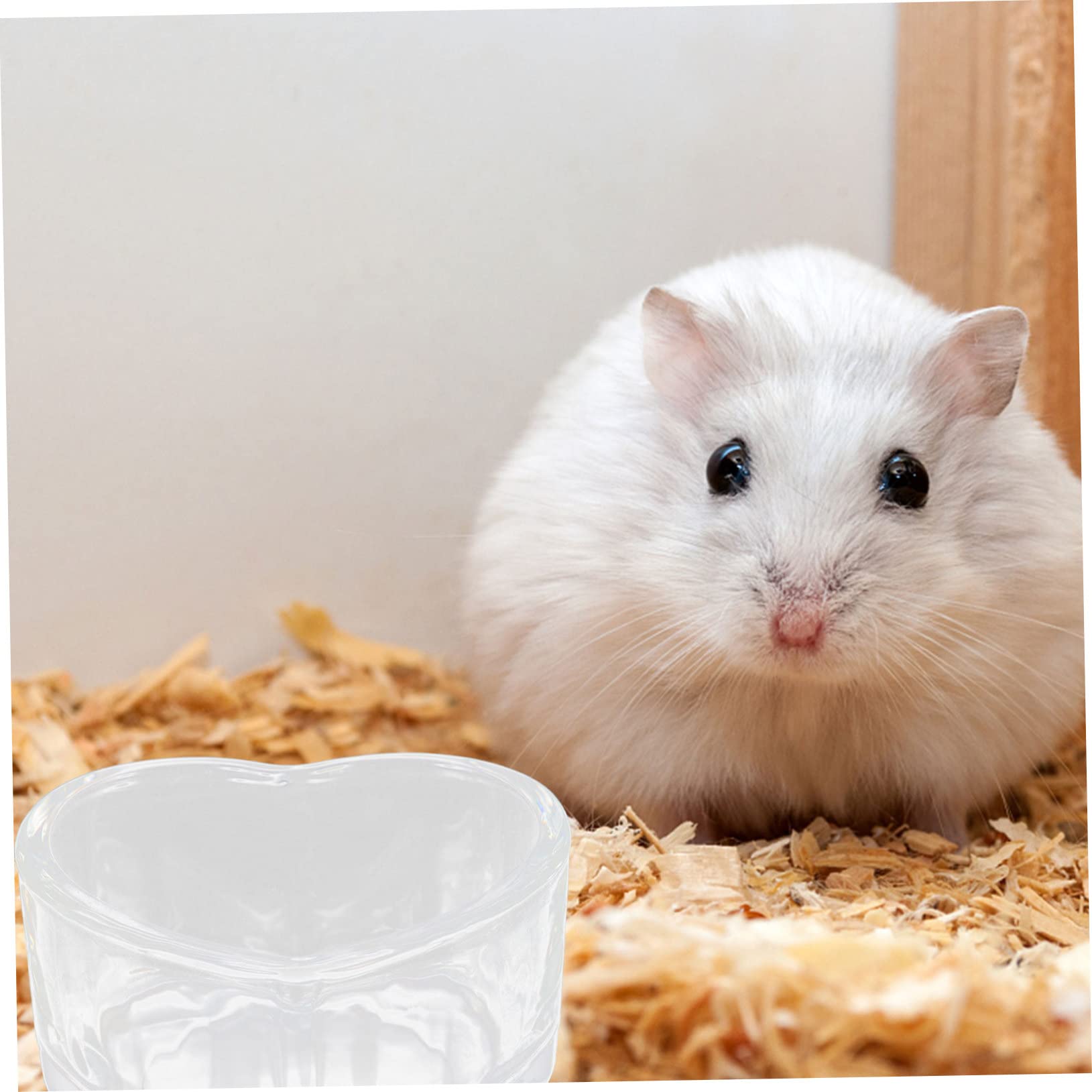 POPETPOP 6 STK Futternapf Für Hamster Tränkeschale Für Hamster Meerschweinchen Zeug Hamsternapf Für Futter Futternapf Für Meerschweinchen Hamster Fressnapf Haustier Glas Kombination