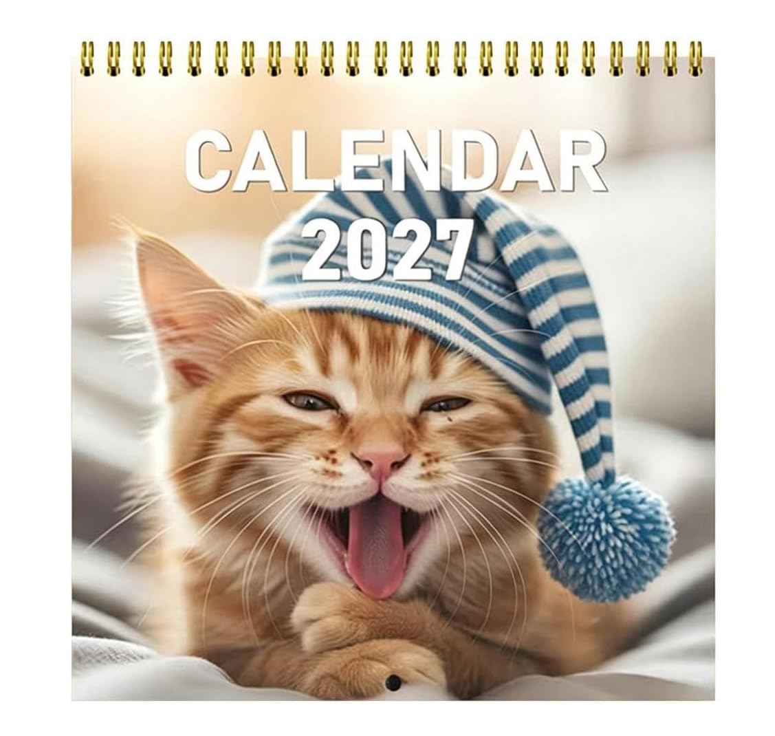 2027 Funny Cat Meme Wall Calendar, Humorous and Playful Kitten Daily Phrase Design Hanging Calendar
