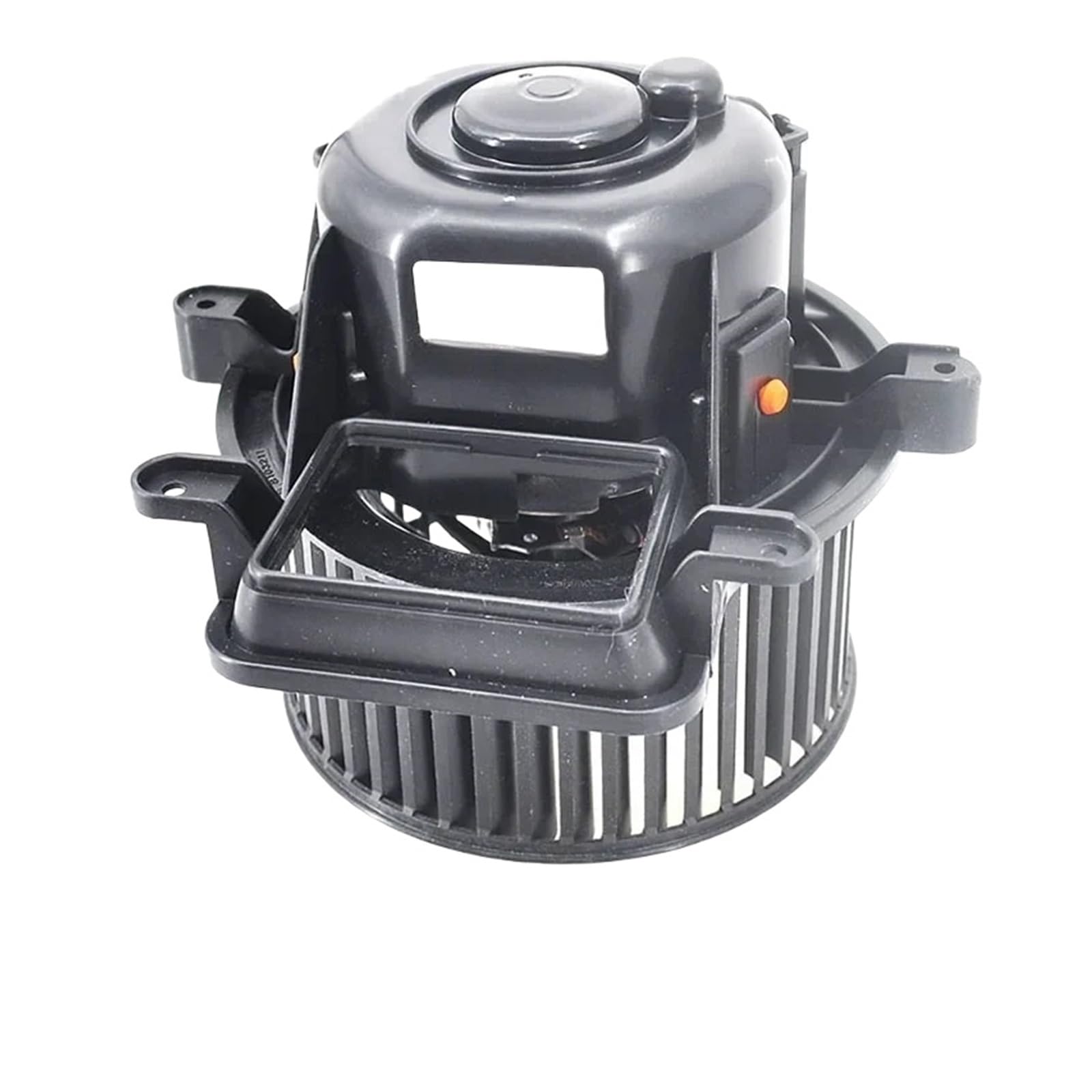 https://m.media-amazon.com/images/I/61Usb+vLDWL.jpg