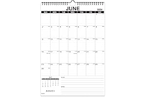 2024-2025 Wall Calendar