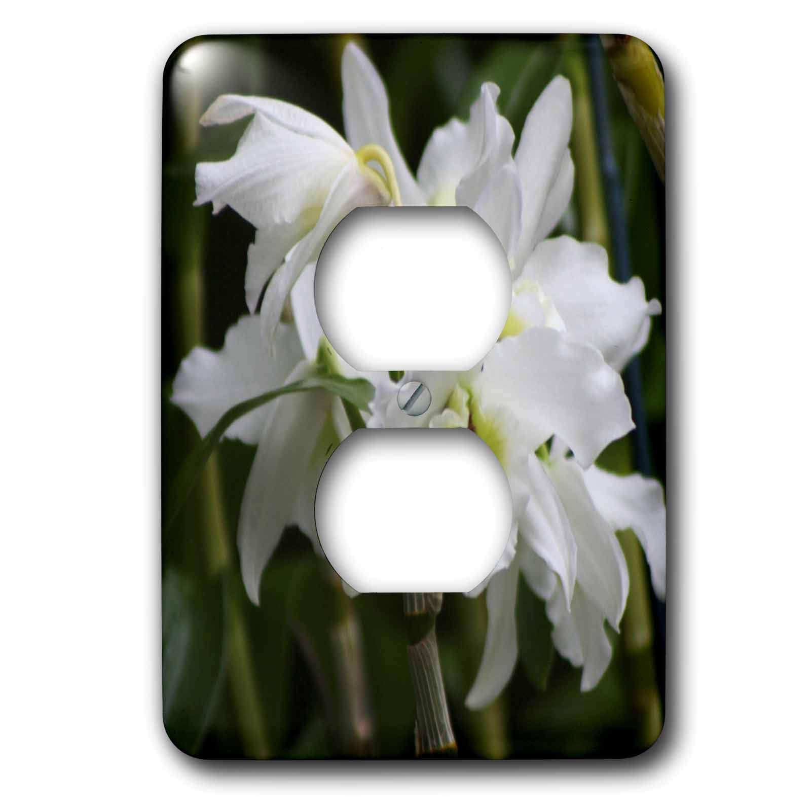 Cache prise orchidee 3dRose pour masquer les interrupteurs blancs tristes