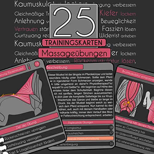 25 Trainingskarten Massage Übungen für Pferd