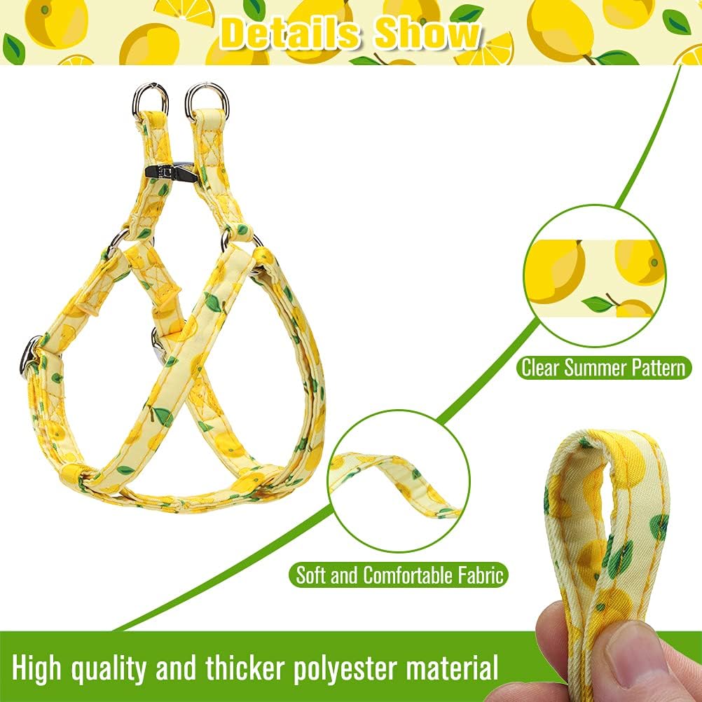 PAWCHIE Dog Harness and Leash Set, No Pull Dog Vest Harness for Small Medium Dogs Puppies, Adjustable Heavy Duty Halter Harnesses with Cute Patterns