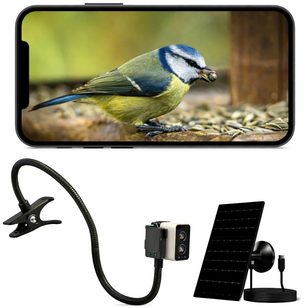 Bird Box Cámara WiFi 4MP - Cámara solar para casa de pájaros para monitoreo de entrada de caja nido, visión en vivo en la aplicación del teléfono, visión nocturna, alertas de movimiento, cámara de