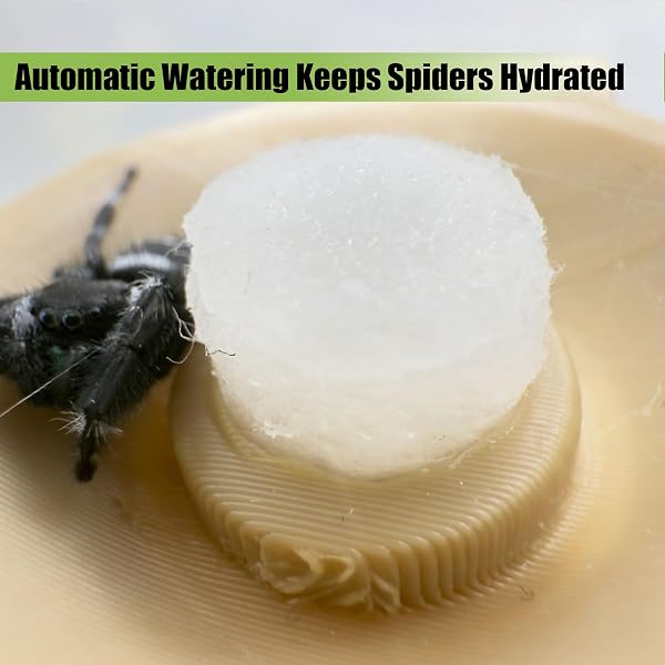 Jumping Spider Water Dispenser, Magnetic Hanging Feeder,Suitable for Jumping Spiders,Tarantulas, Praying Mantises,Arboreal Animals, and Other Small Animal Enclosure Accessories (Wood Color, 5ML) - 2