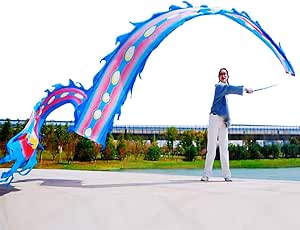 Nastro per Danza Del Drago Fitness, Dragon Dance Ribbon con Testa di Drago 3D, Pois Di Drago Fitness per Lancio All'aperto per Sport All'aperto su Prato Quadrato B,8m