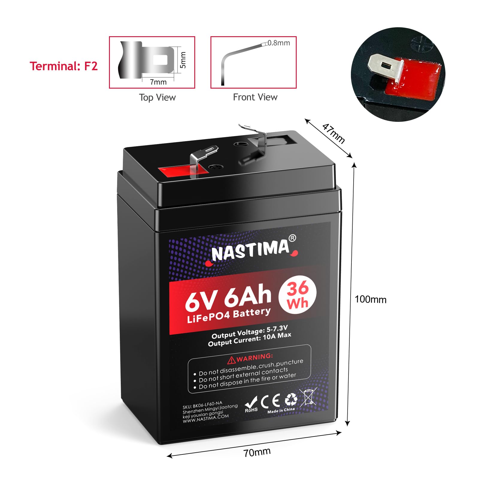 NASTIMA Batterie Rechargeable 6V 6Ah LiFePO4 avec Protection BMS et Cycle Profond 2000, adaptée aux Kits de Éclairage Électrique de Secours, Voitures Jouets pour Enfants, Bateaux à Moteur, Camping