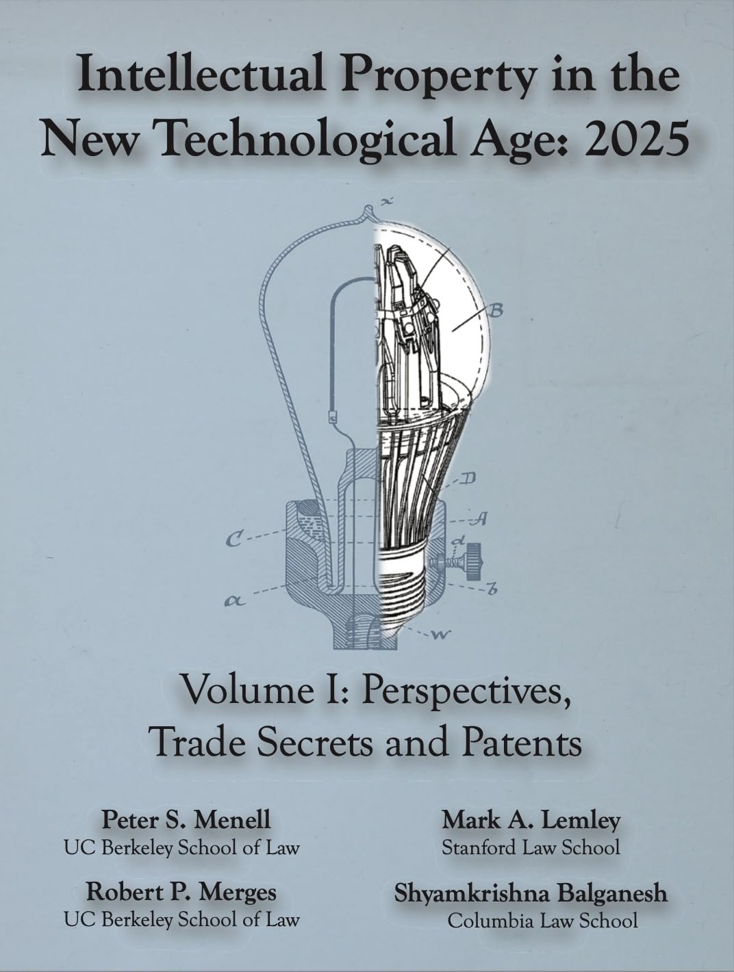 Intellectual Property in the New Technological Age 2025 Vol. I Perspectives, Trade Secrets and Patents