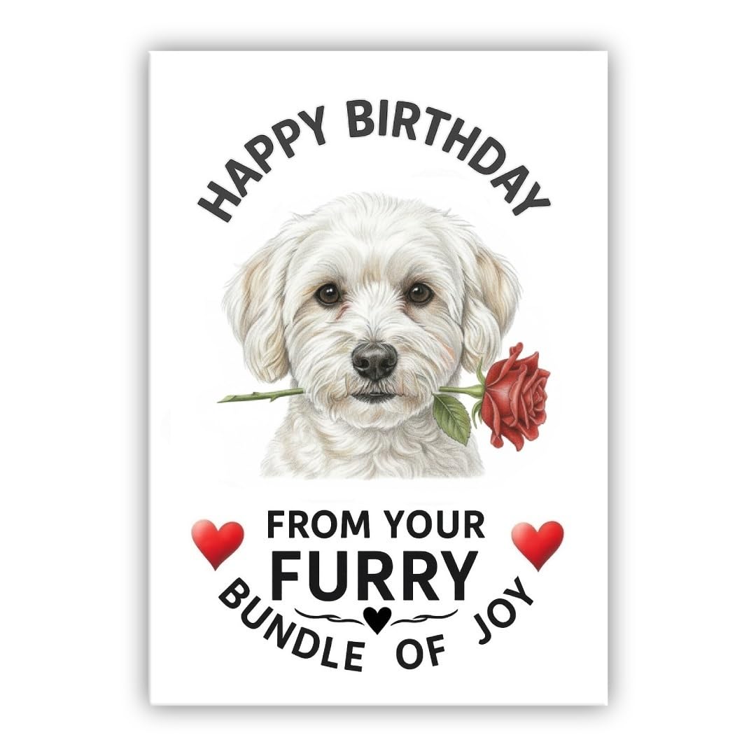 Birthday Card From the Dog – Multiple Breeds Available – Cute & Funny Pet Birthday Card – Dogs Lover Gift (• Maltipoo – Moodle - Maltese Poodle Mix - Malt-A-Poo)