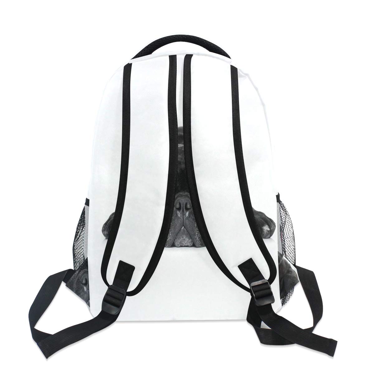 Zaino French Bulldog Floreale, Stampa 3D, Resistente All'Acqua, Per Uomo E Donna, Con Scomparto Per Laptop, Adatto A Scuola, Viaggi E Sport