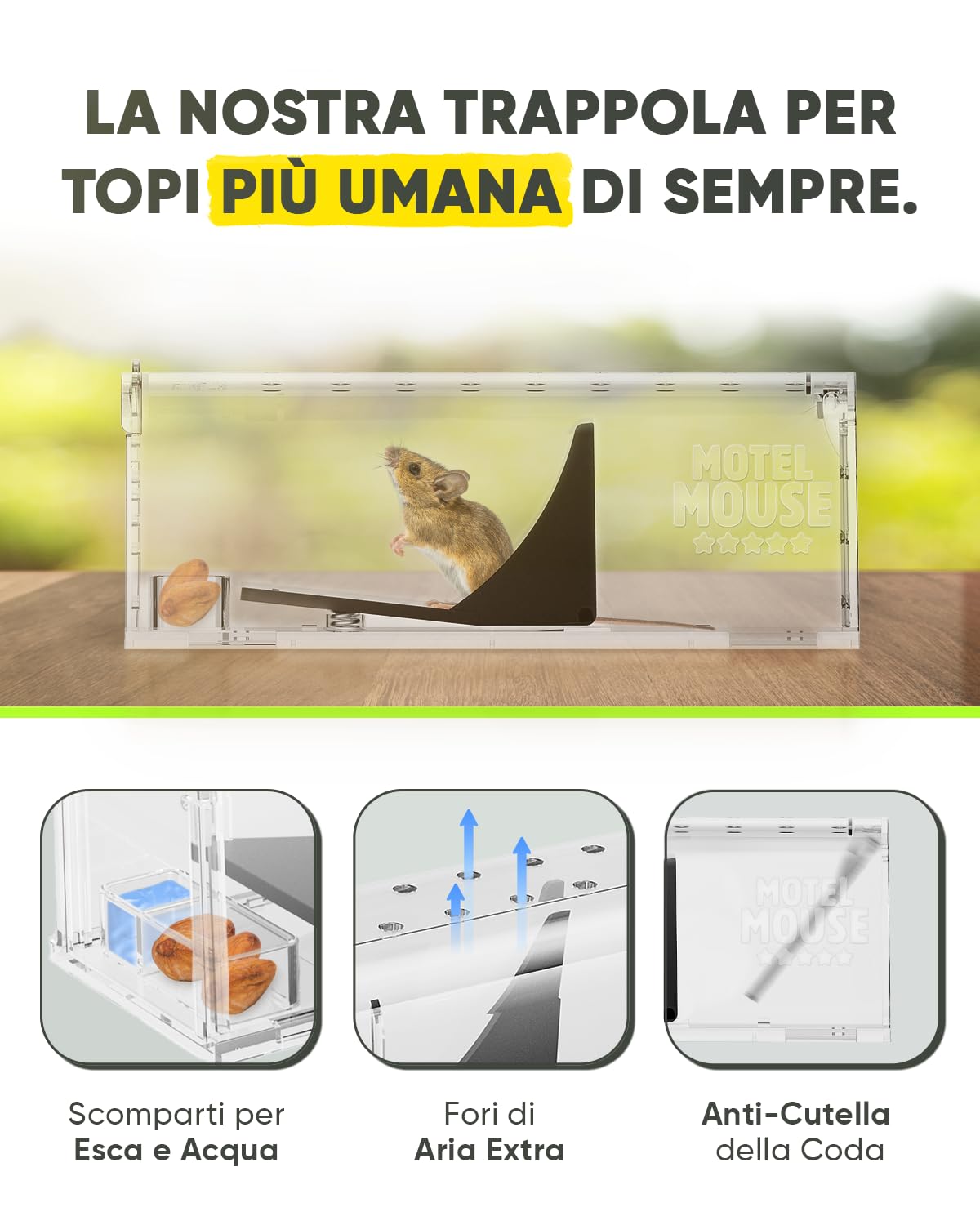 Motel Mouse Trappola per Topi e Ratti Vivi per Interni