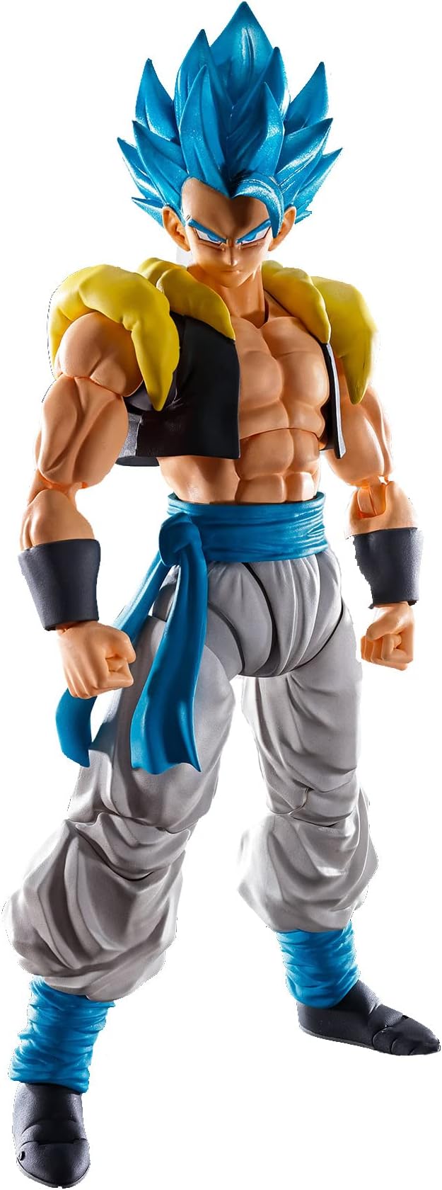 TAMASHII NATIONS - Super Saiyan God Super Saiyan Gogeta, Bandai Figure