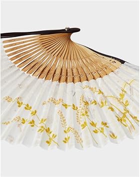 ZUMAHA Silk Material Hand Fan, Chinese Fan Hanfu/Cheongsam Accessories, Japanese Folding Fan Cosplay Props Photo Props