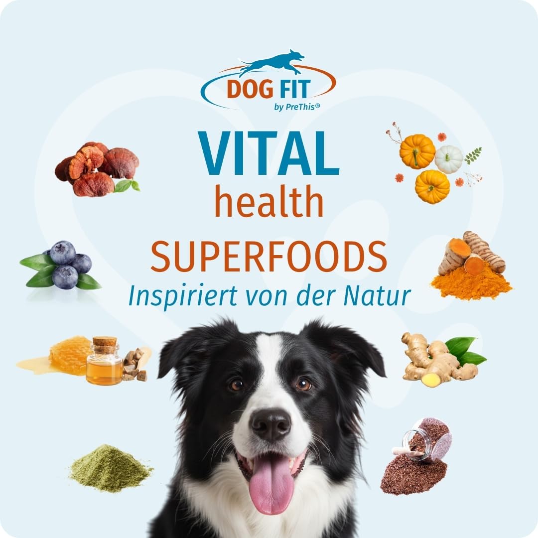 DOG FIT by PreThis® VITAL Health für Hunde - Natürliche Superfoods für Vitalität I Mit den Vitalpilzen Reishi, Shiitake & Cordyceps I Kurkuma, Ginseng & Vitamin D3 I Größe M (10–25 kg)