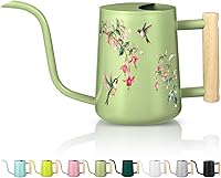 Vista 20 de Regadera para Plantas de Interior, 35oz Regadera Pequeña de Metal de Acero Inoxidable para Interiores, Regadera Decorativa Moderna con Boquilla