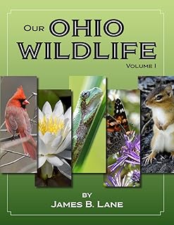 Our Ohio Wildlife
