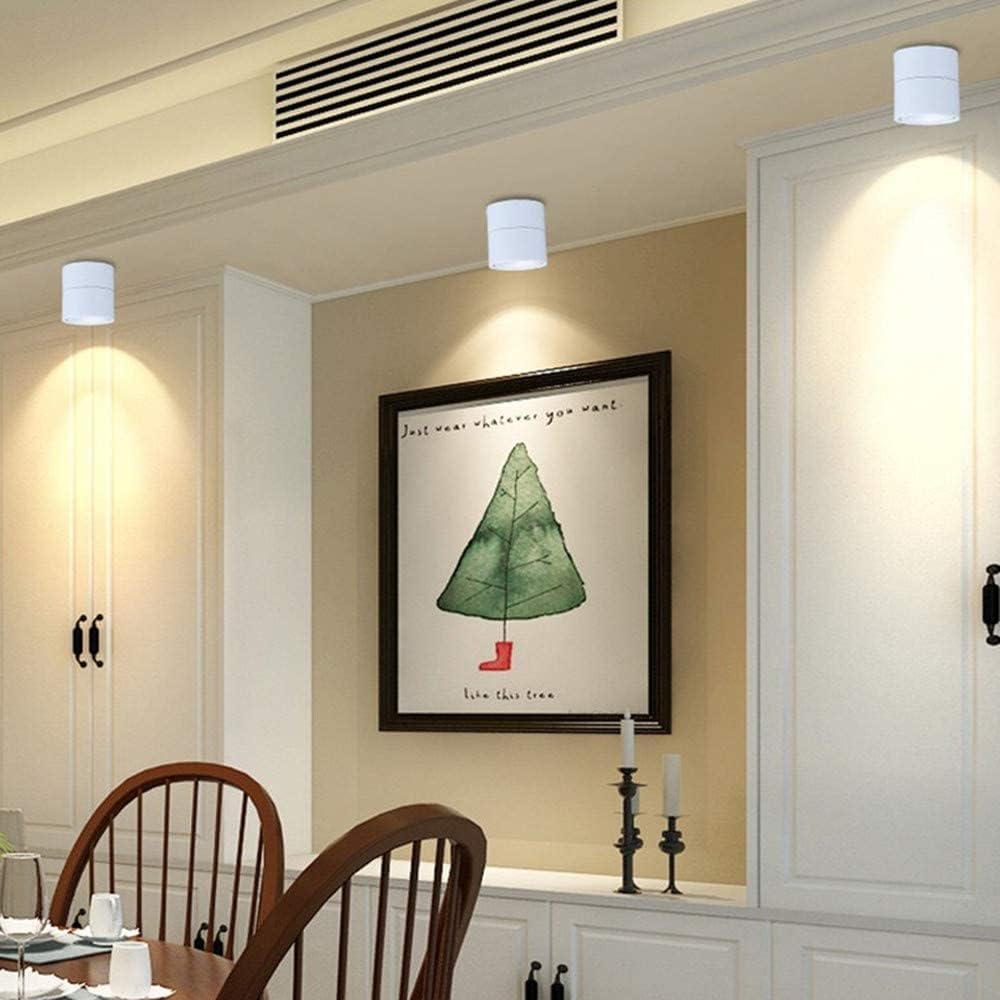 Dimmable Smart LED Ceiling Spotlight,360°Adjustable Surface Mounted 10W COB Lighting -via APP Stepless Dimming Warm Light 3000K to Cool White 6000K Ceiling Downlight-Aluminum Wall Lamp (White)