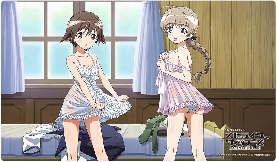 Amazon.co.jp: カーテン魂 第501統合戦闘航空団ストライク