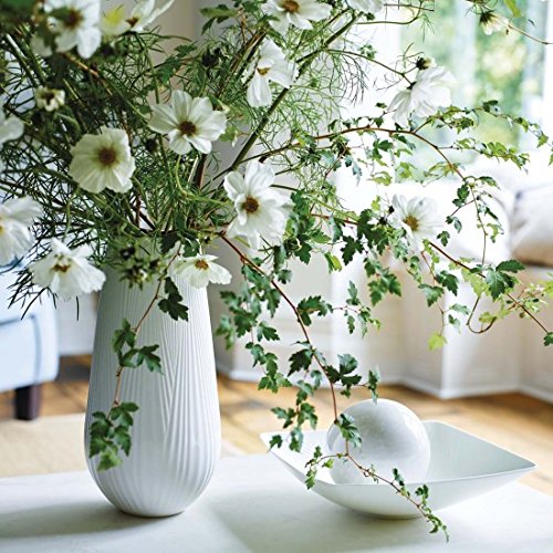  White Folia 花瓶 Amazon.co.jp: Wedgwood????Folia Sculptural??? : ホーム＆キッチン