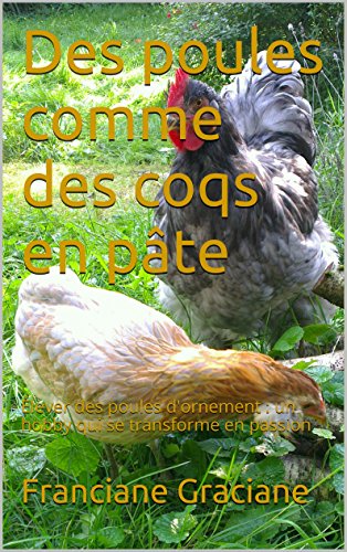 Des poules comme des coqs en pâte: Élever des poules d'ornement : un hobby qui se transforme en passion