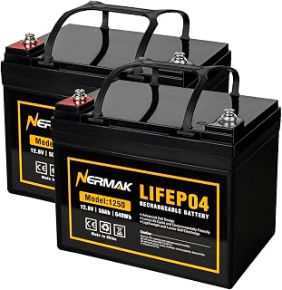 12V 50Ah LiFePO4 Deep Cycle Battery 2 Pack,4000+ Cycles Lithium Iron Phosphate Rechargeable Battery for Solar, Marine, Home Energy Storage, Off-Grid Applications and More, Built-in 100A BMS