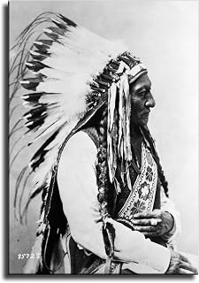 ZYNGA Sitting Bull Native American Indian Lakota Sioux Chief Poster Canvas Wall Art Print Bedroom Living Room Wall Decor Gift (UnFramed,20x30 inch)