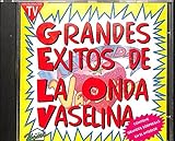 Grandes Éxitos de la Onda Vaselina