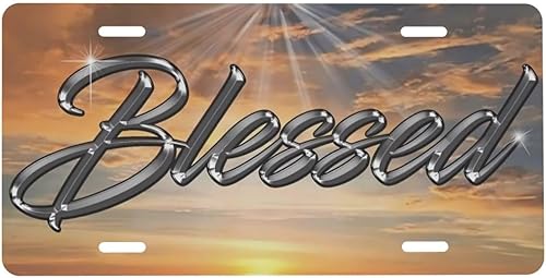 Miniatura 15 de Bandera de bomberos retro de línea roja fina, banderas americanas vintage, placa de matrícula de aluminio de 6 x 12 pulgadas, cubierta de metal para