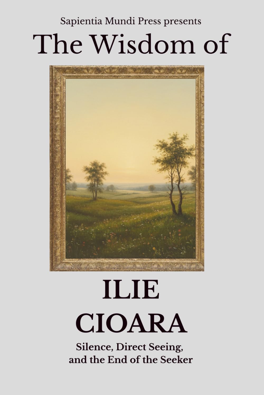 The Wisdom of Ilie Cioara: Silence, Direct Seeing, and the End of the Seeker