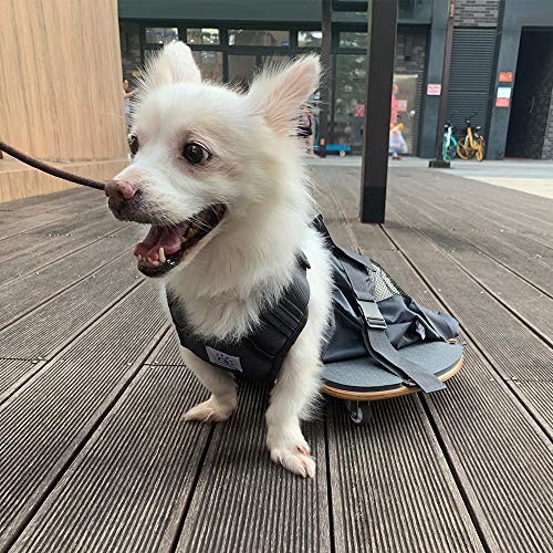 derYEP Pet Scooter Wheelchair for Rear Legs paralyzed Dog Protects Chest and Limbs