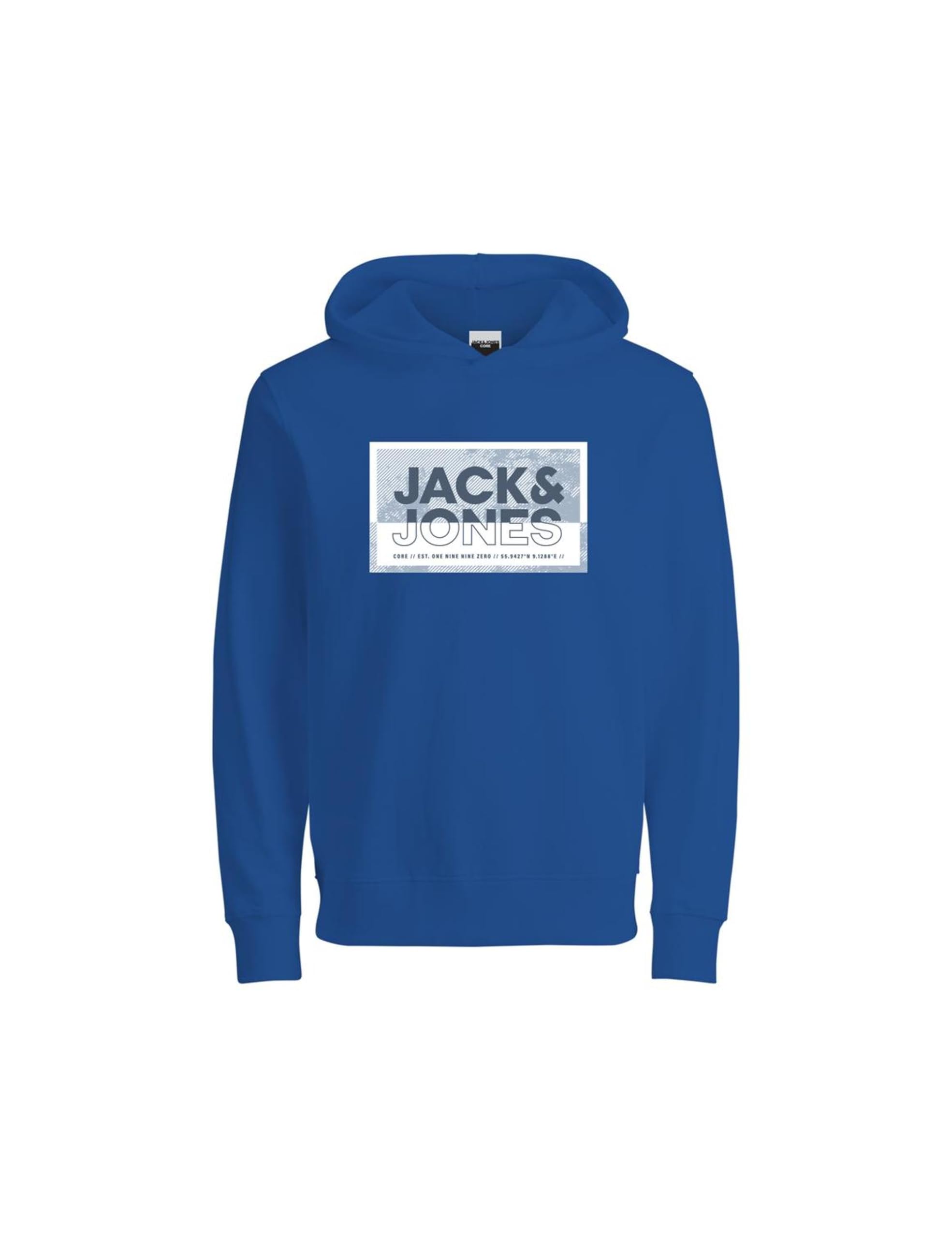 Jack & Jones Jcologan Print Sweat Hood Sn Mni
