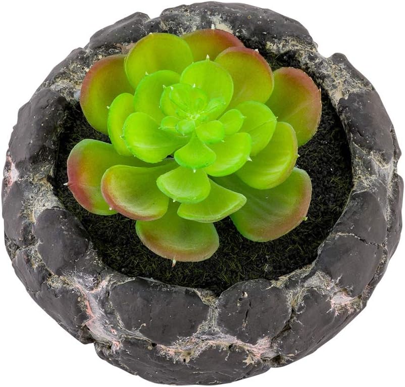 Restaurantware-6 x 4.5 Inch Faux Succulent, 1 Artificial Succulent - In Cement Planter, Use As Table Or Shelf Decor, Centerpiece, Plastic Desk Plant, Planter Mimics The Look Of Volcanic Rocks