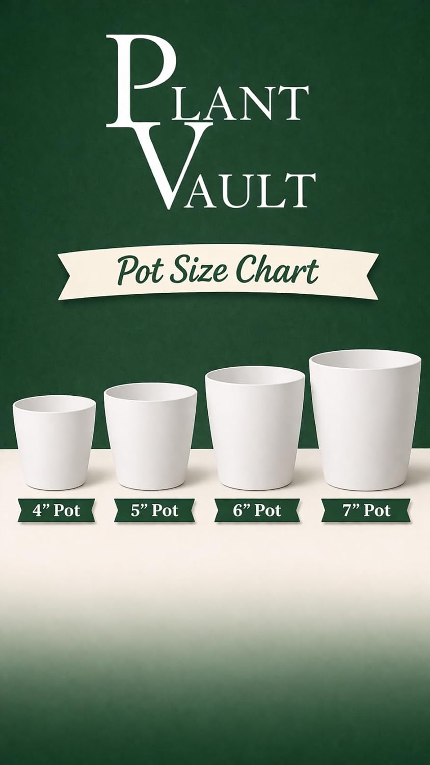 Golden Rat Tail Cactus, Bolivian Mountain, Trailing Cactus, Indoor, Fuzzy Golden-Yellow Spines, 3 Ft Length, Pink-Red Blooms, Spring-Summer Flowering, Bright Indirect Light, Live Plant