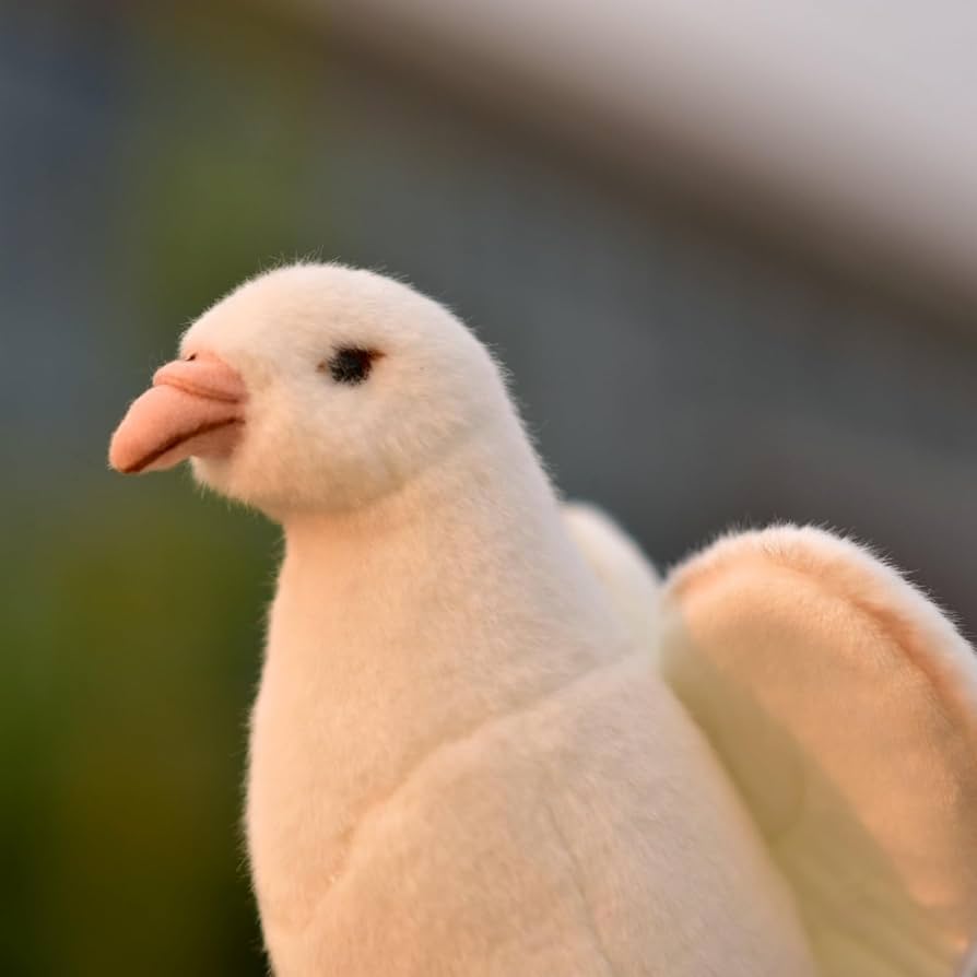 Amazon.co.jp: POPOTATO リアルな白い鳩のぬいぐるみ - 9.4
