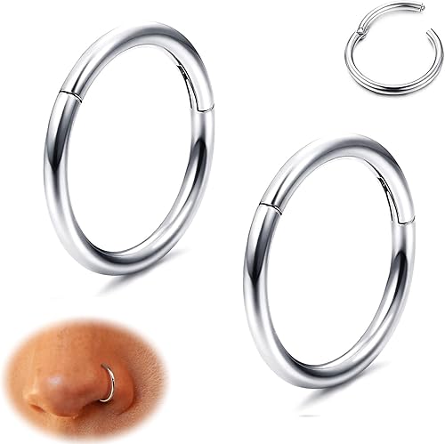MILACOLATO Aros de nariz de titanio G23 20G 18G 16G 14G septum con bisagra anillo de clic para labio, hélix, tragus, daith, rook, cartílago, lóbulo,