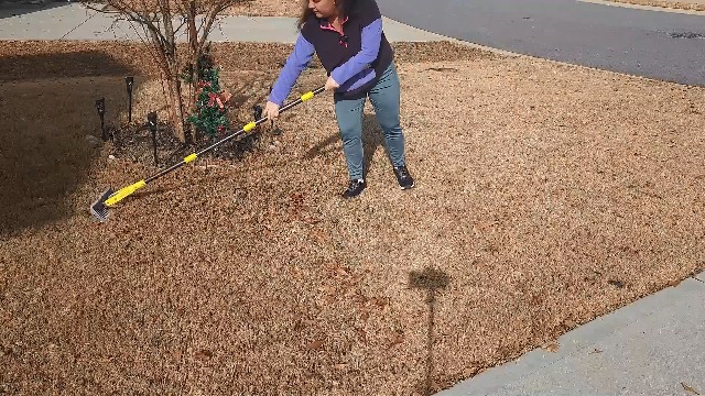 Amazon.com : Thatch Rake, 2-in-1 Lawns Manual Dethatcher with