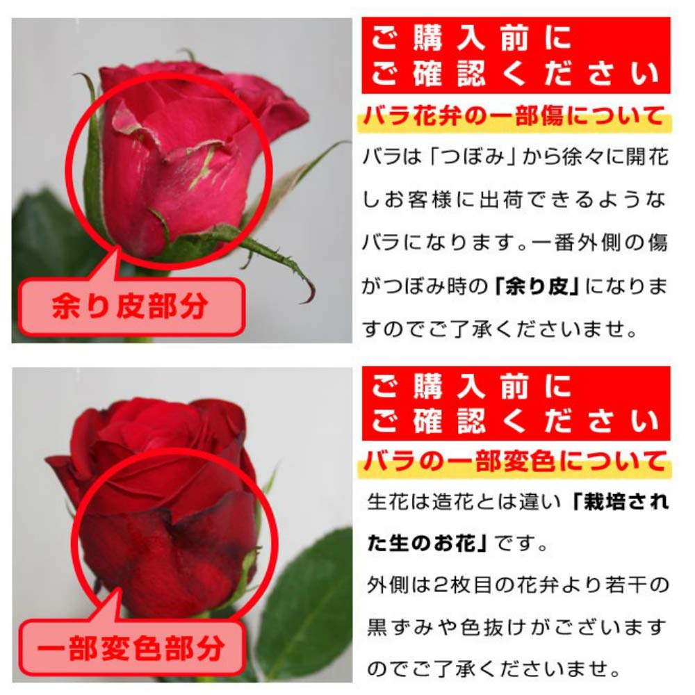 Amazon｜【1月2日〜1月9日指定不可】BisesFlower(ビズフラワー 