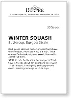 Vista 2 de Burpee Buttercup Burgess Strain Semillas de Calabaza Invierno 30 semillas