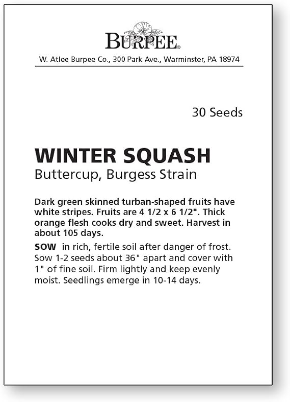 Burpee Buttercup Burgess Strain Winter Squash Seeds 30 seeds
