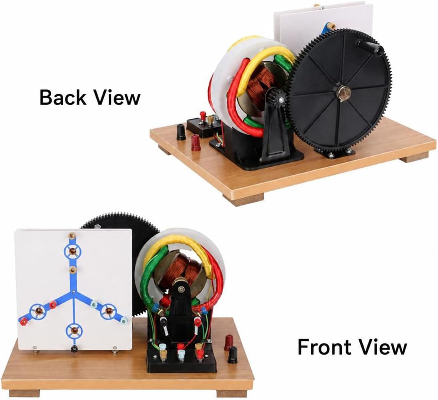 Modello Fisico Di Generatore Trifase Ca/cc A Manovella, Generatore Dinamo Fai-da-te A Scopo Didattico, Kit Per Esperimenti Di Fisica Per La Didattica In Laboratorio.