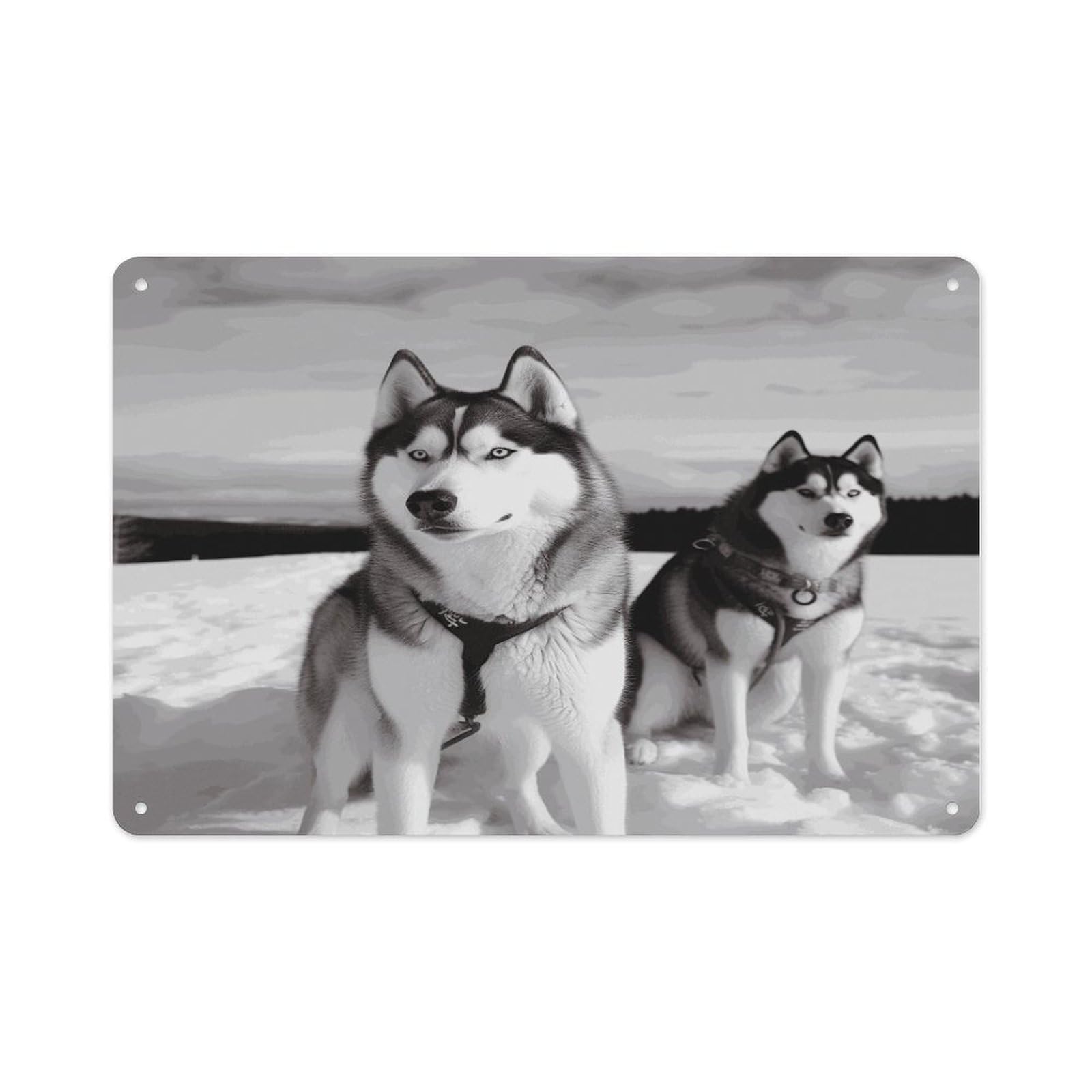 Btcowzrv Style Husky Dogs Snow Metal Sign 7.9 X 11.8 Inch, Aluminum Sign Wall Art Decor Easy To Install, Decorative Plaque For Home Bar Kitchen Pub Shop Garage