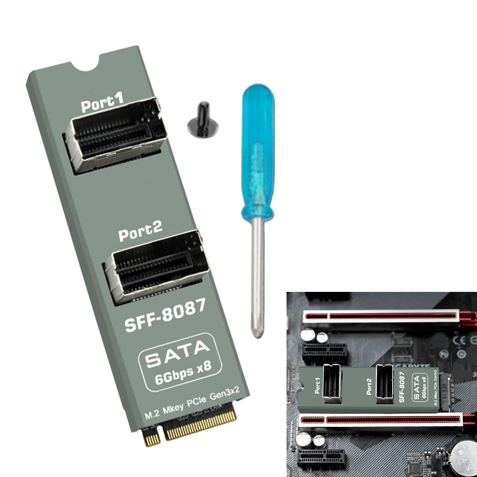 Carte d'extension SFF-8087 à 2 ports