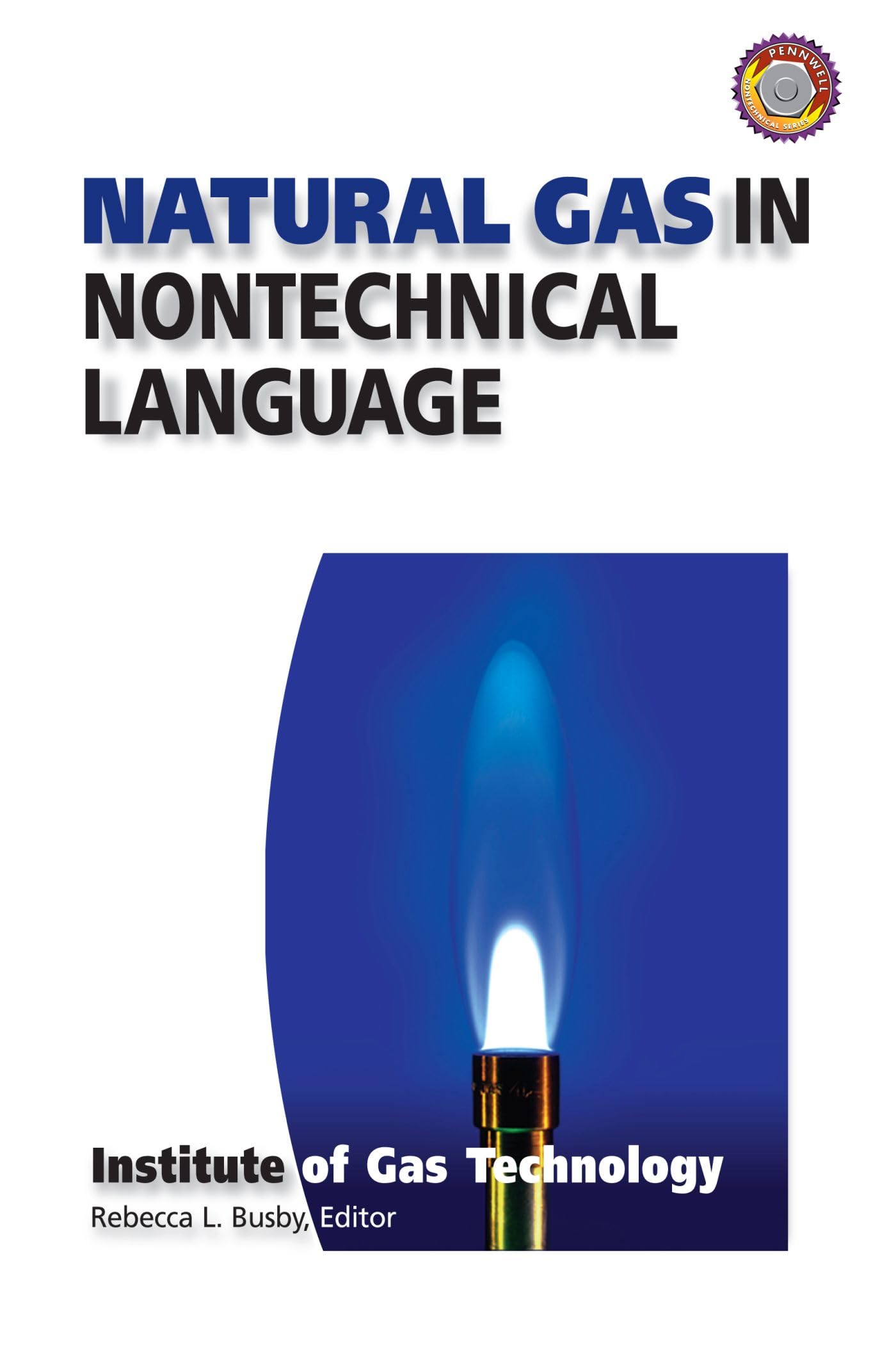 Buy Natural Gas in Nontechnical Language — BookShops.in